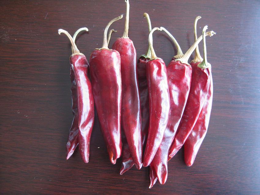 Jinta chili with stem