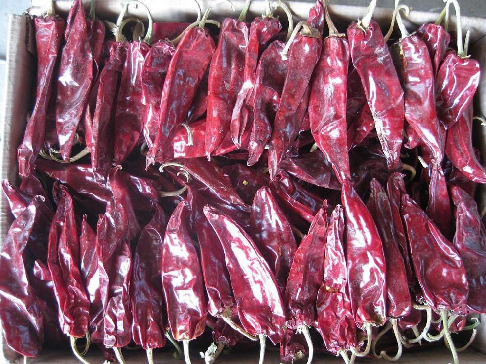 Dried yidu chilli 